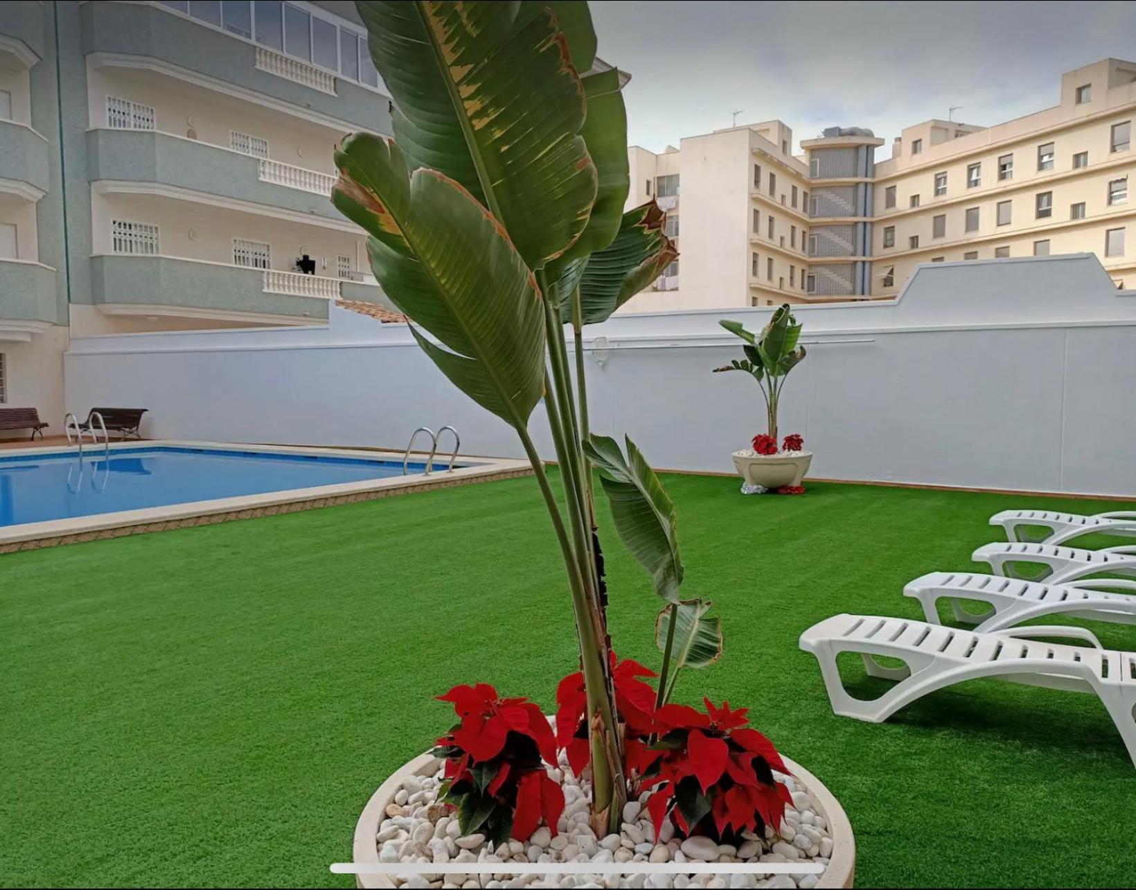 Exclusive Penthouse Pool & Beach - Lovely For Families - Los Pinos Residential El Campello Exterior photo